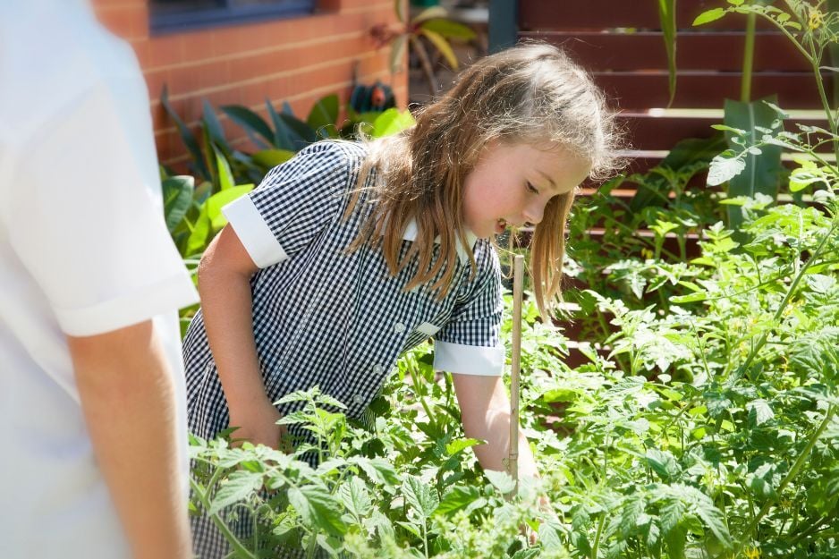 Outdoor learning